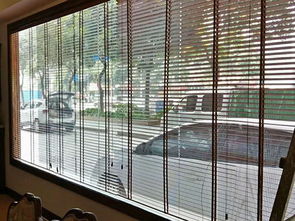 江門遙控百葉簾供應(yīng)商 升降 防曬 手動拉珠 消音 滿滿窗飾